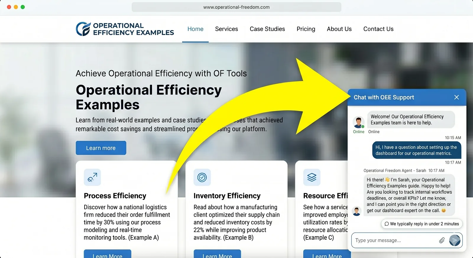 HUMAN Revenue Leak Fix Sprint™ — AI chat widget capturing leads
